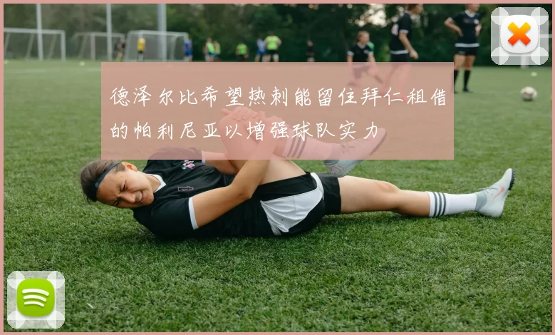 德泽尔比希望热刺能留住拜仁租借的帕利尼亚以增强球队实力