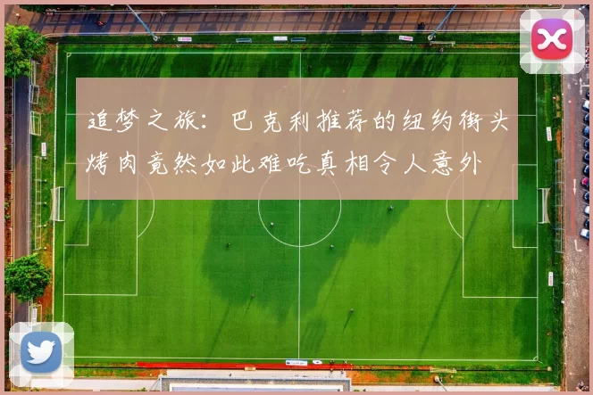 追梦之旅：巴克利推荐的纽约街头烤肉竟然如此难吃真相令人意外