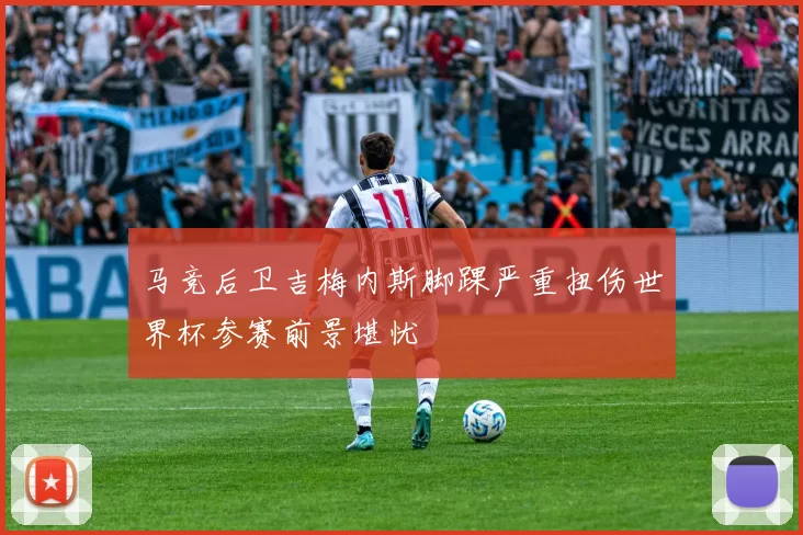 马竞后卫吉梅内斯脚踝严重扭伤世界杯参赛前景堪忧